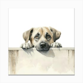 Dog Peeking Over Wall Canvas Print