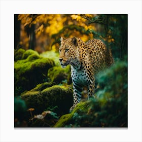 Leopard In The Forest 2 Canvas Print