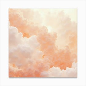 Peach Clouds Toile