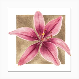 Pink Lily Gold Frame Canvas Print