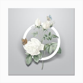 Vintage White Bengal Rose Minimalist Botanical Geometric Circle on Soft Gray n.0123 Canvas Print
