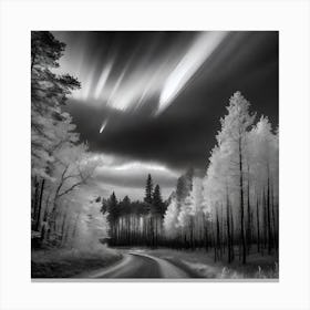 Infrared Forest 1 Canvas Print