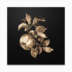 Gold Botanical Apple on Wrought Iron Black n.0394 Canvas Print