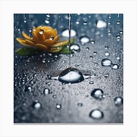 Raindrops On A Flower Canvas Print