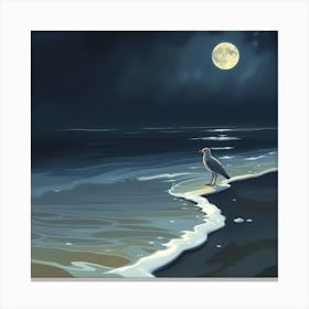 Seagull On The Beach At Night Canvas Print