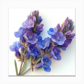 Larkspur Canvas Print