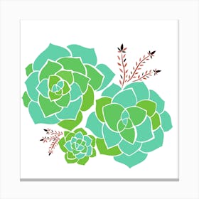 Succulents Canvas Print