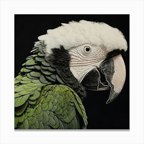 Ohara Koson Inspired Bird Painting Macaw 2 Square Canvas Print