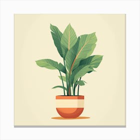 Banana Plant In A Pot Canvas Print