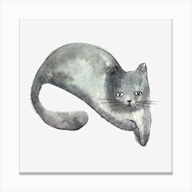 Grey Cat Watercolor Painting Canvas Print