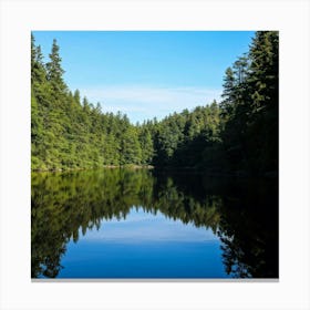 Reflection In A Lake 1 Canvas Print