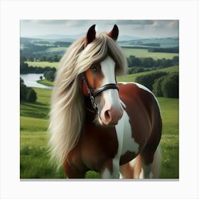 Horse In A Field 2 Canvas Print