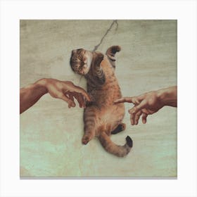 Touch Of A Kitty Square Canvas Print