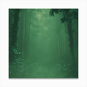 Forest In The Fog Canvas Print