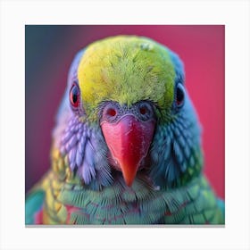 Portrait Of A Parrot 7 Canvas Print