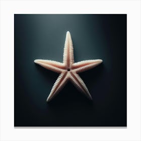 Starfish 6 Canvas Print