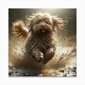 Dog Running In Mud 1 Canvas Print