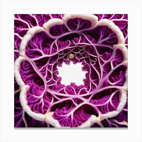 Purple Cabbage 6 Canvas Print