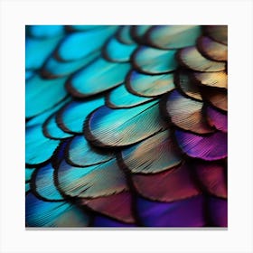 Colorful Feathers Canvas Print