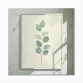 Eucalyptus Leaf Canvas Print