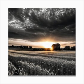 Sunset Over Wheat Field 3 Canvas Print