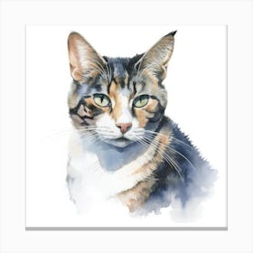 Aegean Cat Portrait 3 Canvas Print