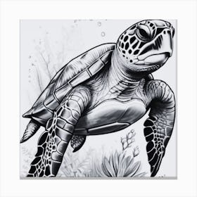 Sea Turtle Canvas Print