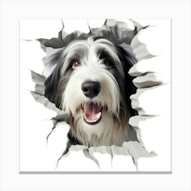 Dog Looking Through A Hole Canvas Print