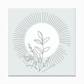 Sun Rays and a plant Canvas Print