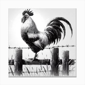 Rooster On Fence Canvas Print