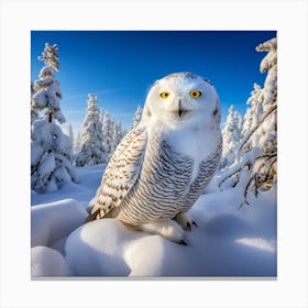 Snowy Owl Canvas Print