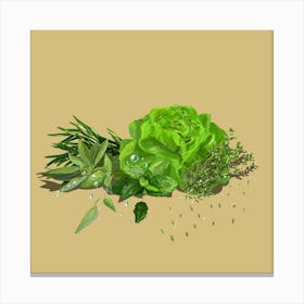 Herbs And Green Salads Canvas Print