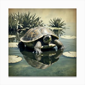 Turtle In Water 2 Canvas Print