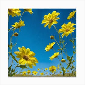 Yellow Daisies 4 Canvas Print