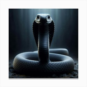 Cobra Canvas Print