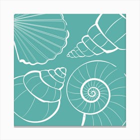 Green Shells Canvas Print