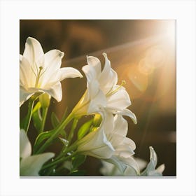 White Lilies In Church Canvas Print