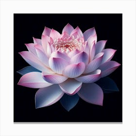 Lotus Flower 9 Canvas Print