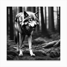 Wolf In The Woods 27 Canvas Print