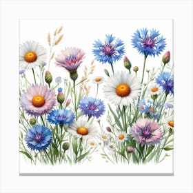 Flowers of chamomile and cornflower 1 Canvas Print