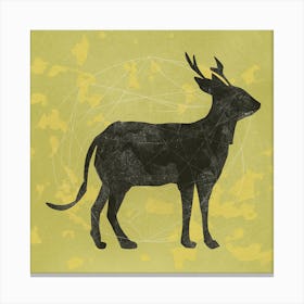 Deer 1 Canvas Print