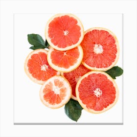 Grapefruit Slices Isolated On White Canvas Print