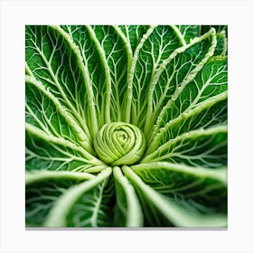 Close Up Of A Cabbage Leaf Canvas Print