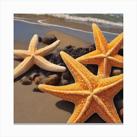 Starfish On The Beach Canvas Print