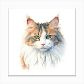 Australian Mist Longhair Cat Portrait 1 Canvas Print
