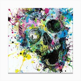 Skull Painting 20 Canvas Print