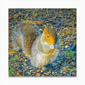 Squirrel Canvas Print