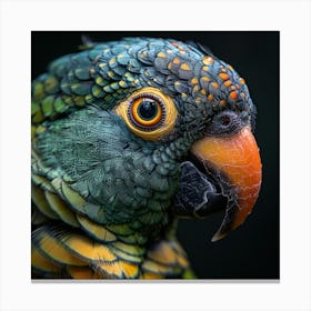 Portrait Of A Parrot 1 Canvas Print