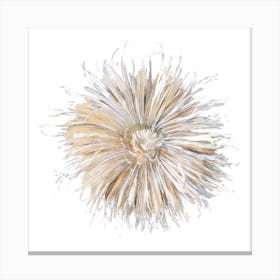 Chrysanthemum Sticker, Flower Illustration 1 Canvas Print