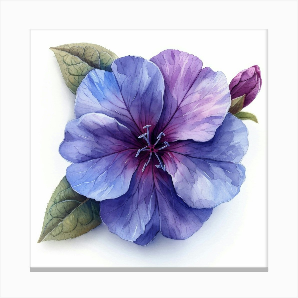 Hibiscus 21 Lienzo
